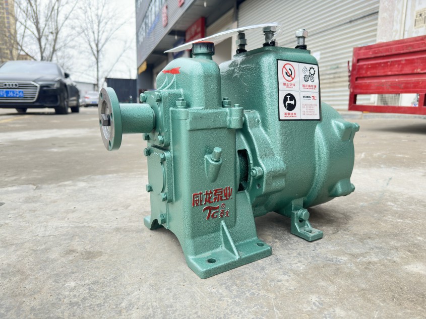 威龍60/90自吸式灑水車泵